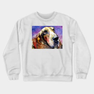 Cute basset hound cd Crewneck Sweatshirt